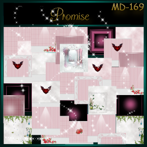 Promise MD-169